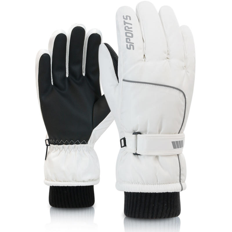 Ski Glove Waterproof - Professionele winterwarme skihandschoenen voor heren EN