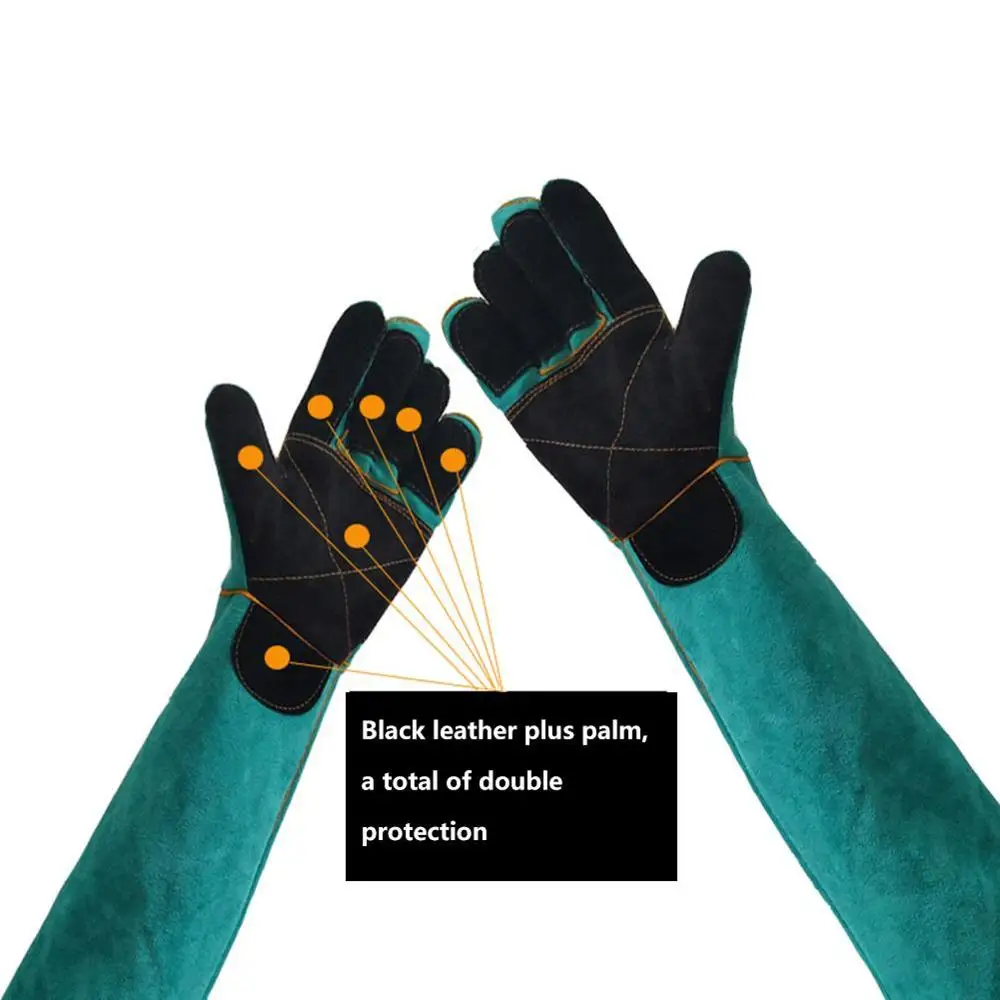 Handschoenen voor huisdieren B - Cut Resistant Glove recensie en prijs