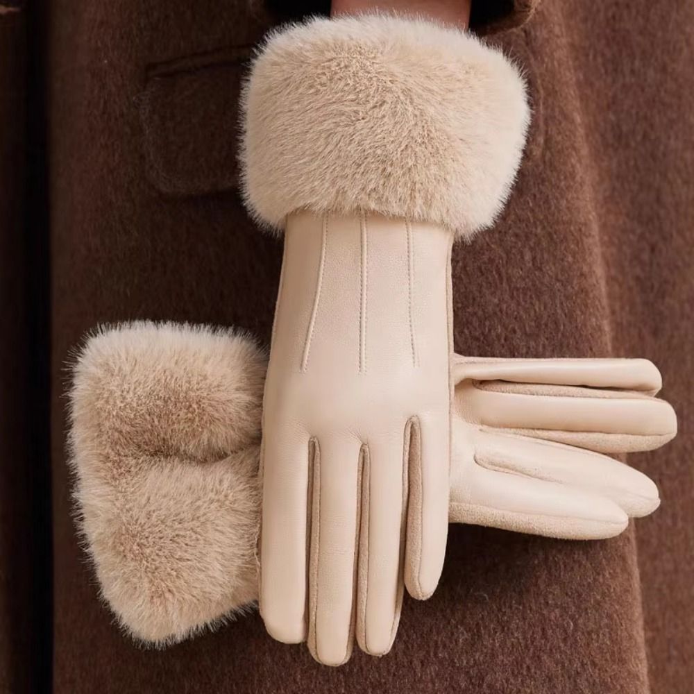Thermisch gevoerde damesleren  - Winter Glove Insulated recensie en prijs